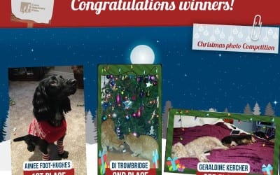 Christmas Photo Competition: Winners Announcement