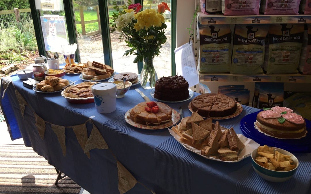 Blue Cross ‘Paws for Tea’ Bake Sale 2016