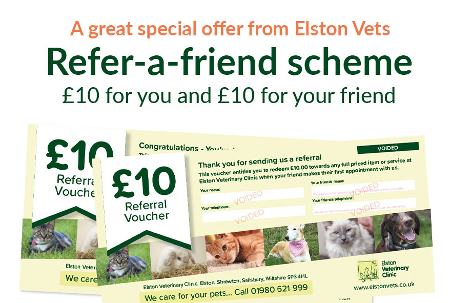 Awesome Offer: Get £10 voucher when you refer friends to Elston Vets