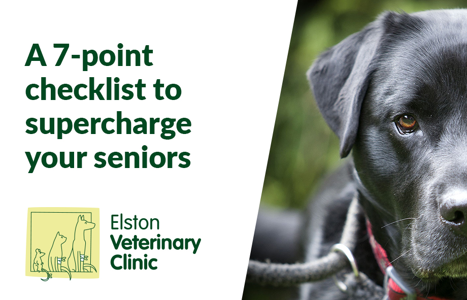 A 7-point checklist to supercharge your seniors