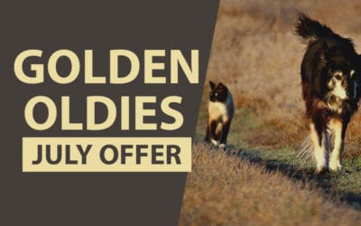 Golden Oldies Month: July 2019