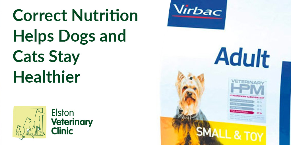 Correct Nutrition Helps Dogs Cats Stay Healthier Virbac HPM in