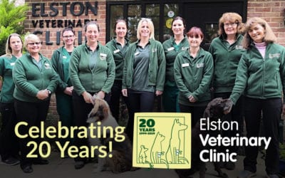 Elston Vets celebrates 20 wonderful years in Shrewton Village