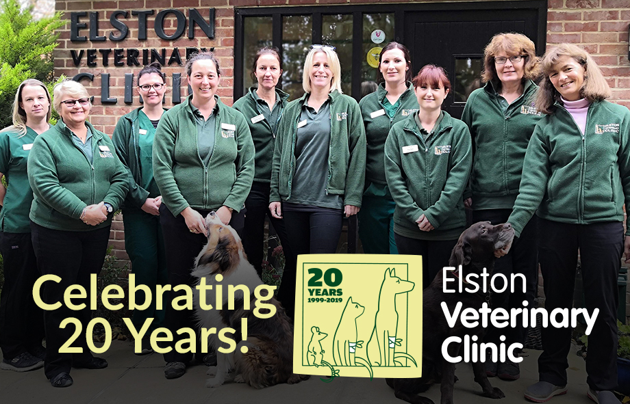 Elston Vets celebrates 20 wonderful years in Shrewton Village