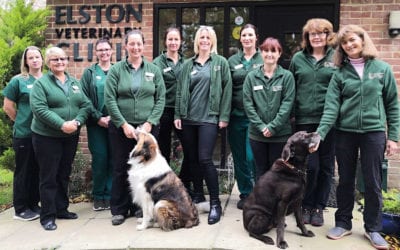 Elston Vets responds to CMA review of vet sector