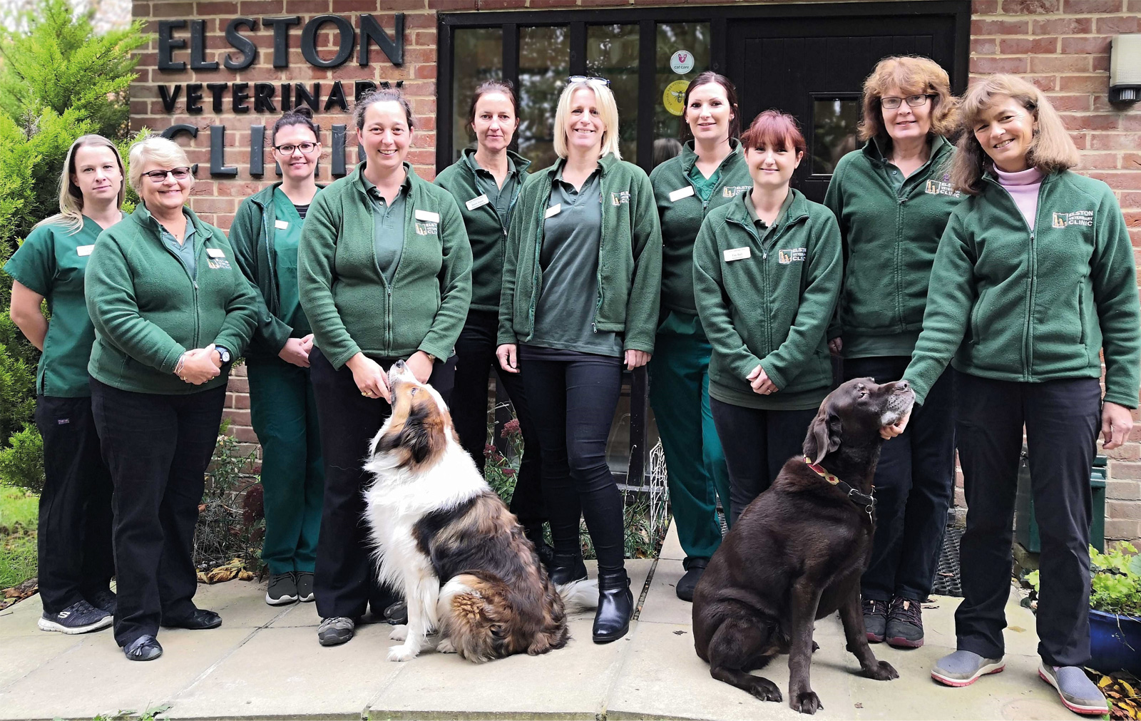 Elston Vets - Shrewton Vet Salisbury - 2019 vets, nurse and reception team