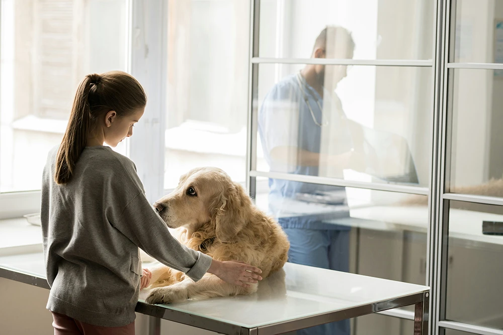 What are the signs of ill health in your pet | Elston Vets