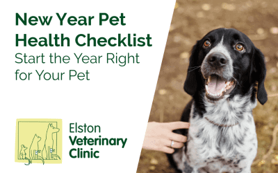 New Year Pet Health Checklist: Start the Year Right for Your Pet
