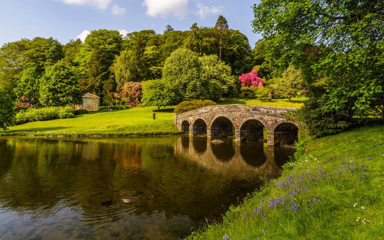 Peaceful countryside scene with river and greenery in Wiltshire, representing natural environments where pets may be exposed to parasites