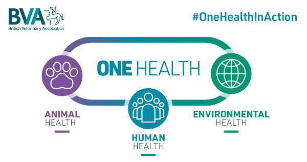 BVA - One Health In Action
